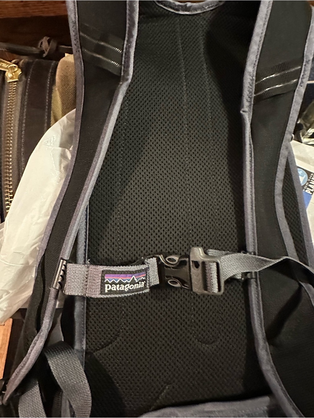 Patagonia Endurance Pack NWT Dark Grey Lightweight Pack - Picture 3 of 7